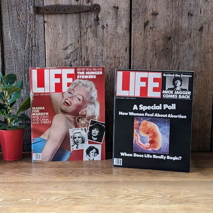 Deux Magazines Life 1981 Marilyn et Mick